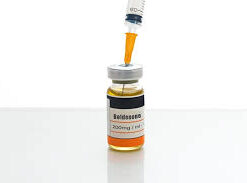 best steroids canada​