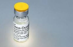 Decanandrolen 300mg/ml 25 ml D&H Denkall Anabolics Sales in canada